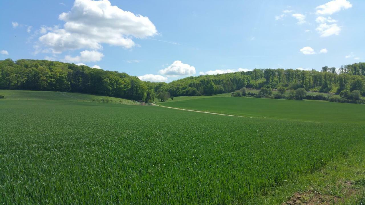 Apartamento Friedland - Gross Schneen Goe 10 Km Exterior foto